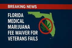 The rug pulled out from underneath us, and just like that, Republicans lose Florida!
